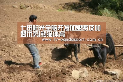 熊猫体育