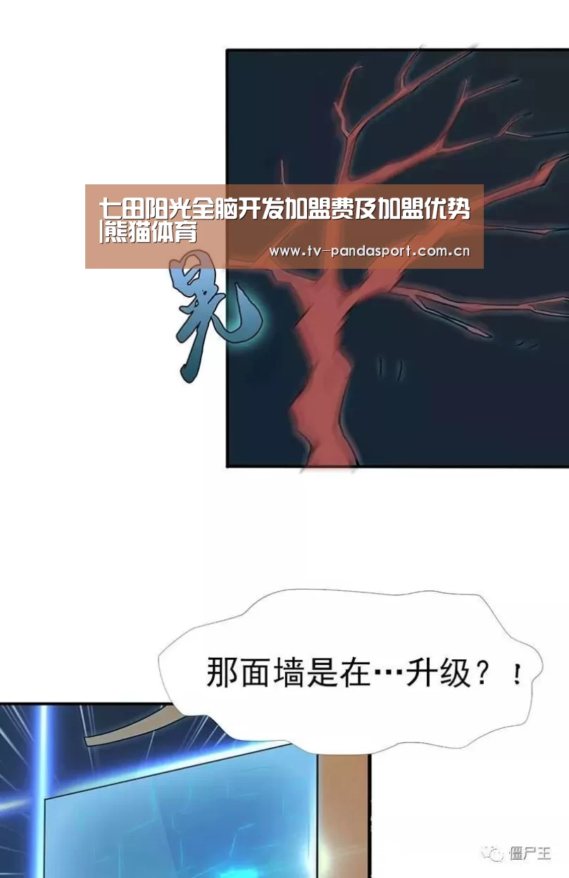 熊猫体育