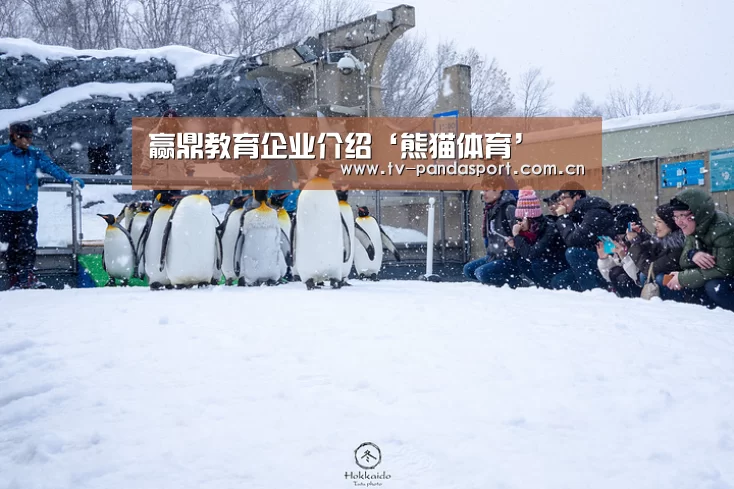 赢鼎教育企业介绍‘熊猫体育’(图2) 熊猫体育