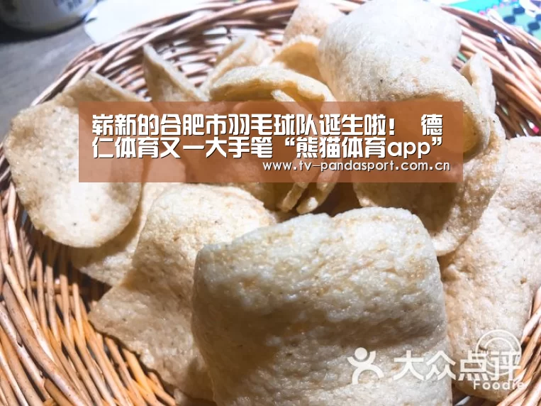 崭新的合肥市羽毛球队诞生啦! 德仁体育又一大手笔“熊猫体育app”(图2) 熊猫体育官网