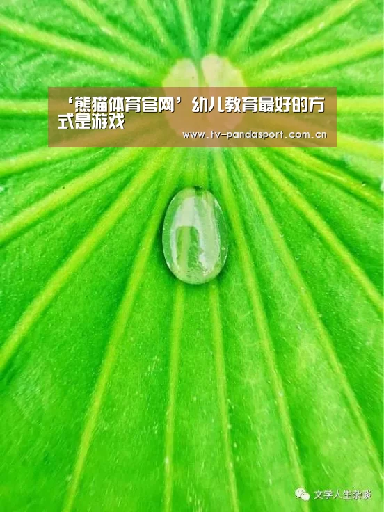 体育API