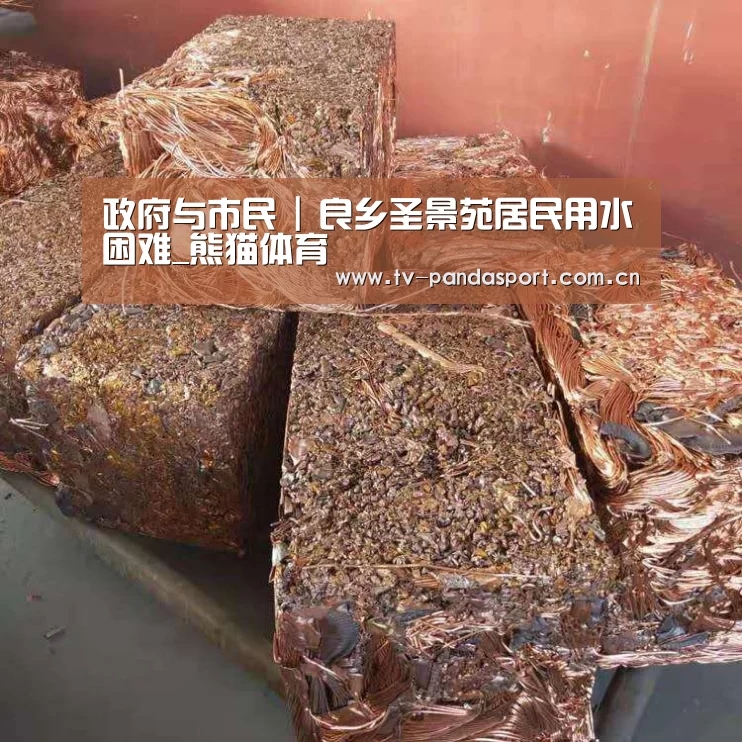 体育API