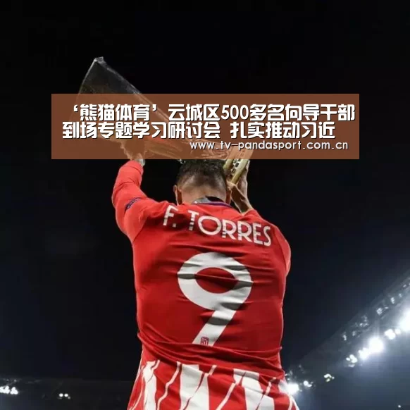 ‘熊猫体育’云城区500多名向导干部到场专题学习研讨会 扎实推动习近平总书记重要讲话精神在云城落地生根着花效果(图2) 熊猫体育官网