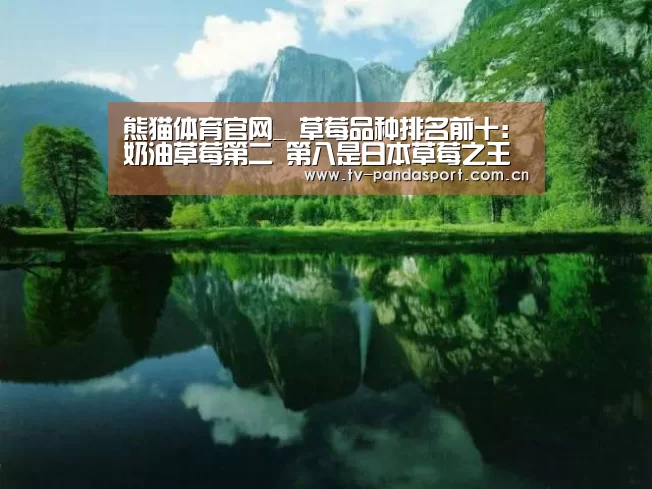 熊猫体育官网