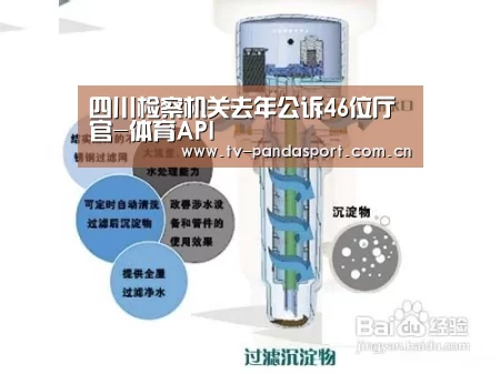 体育API