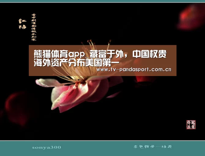 熊猫体育官网