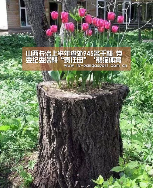 熊猫体育