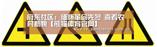 熊猫体育app
