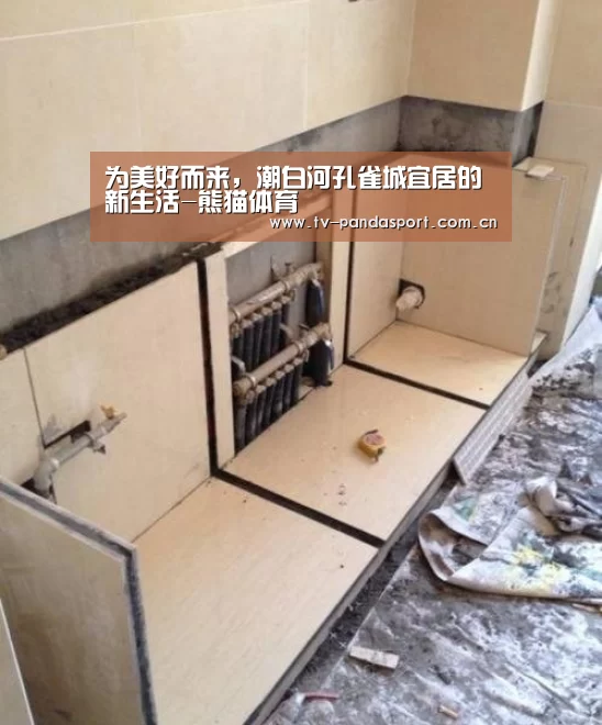 熊猫体育